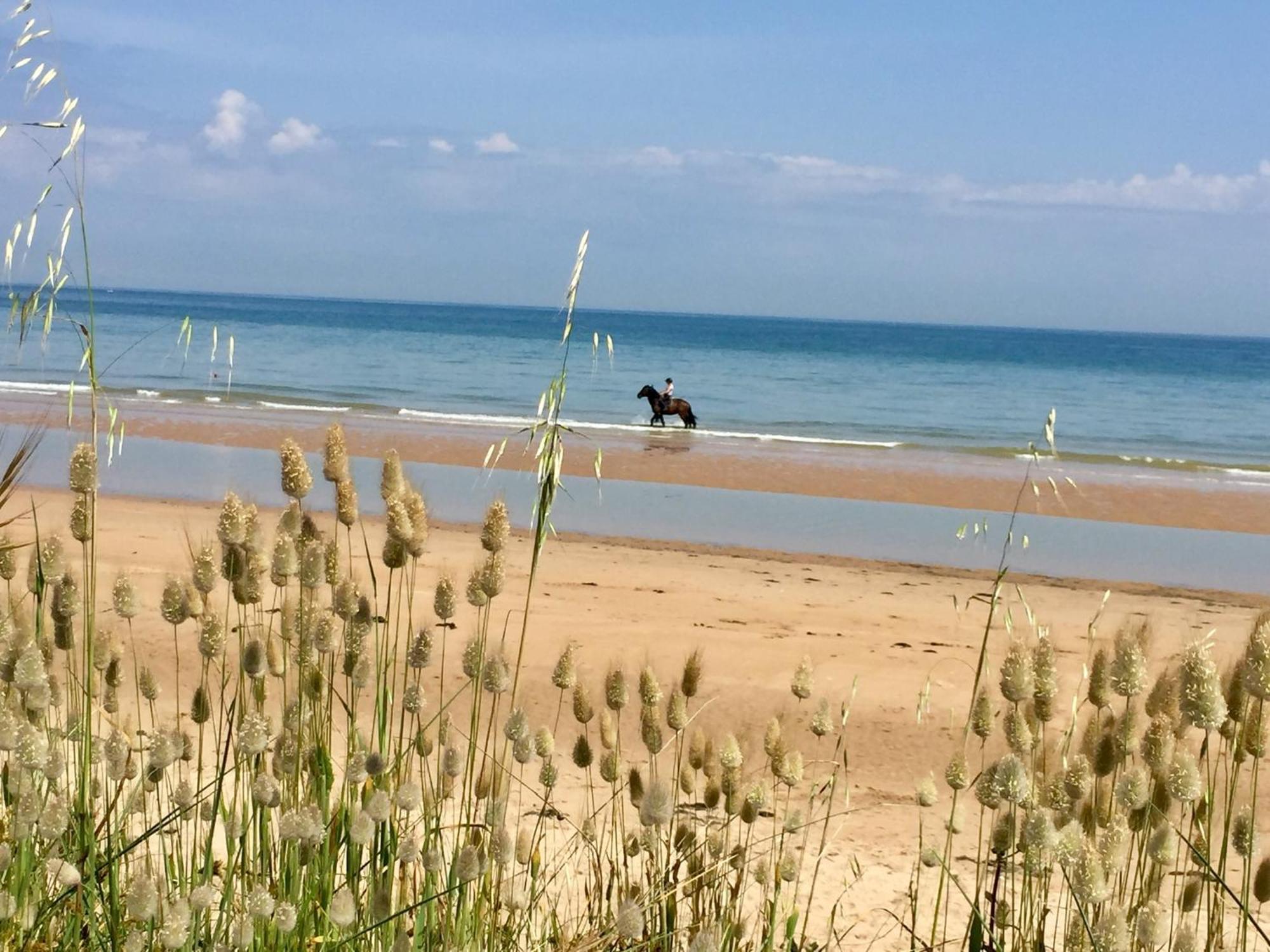 Hotel La Sapinière Saint-Laurent-sur-Mer Esterno foto