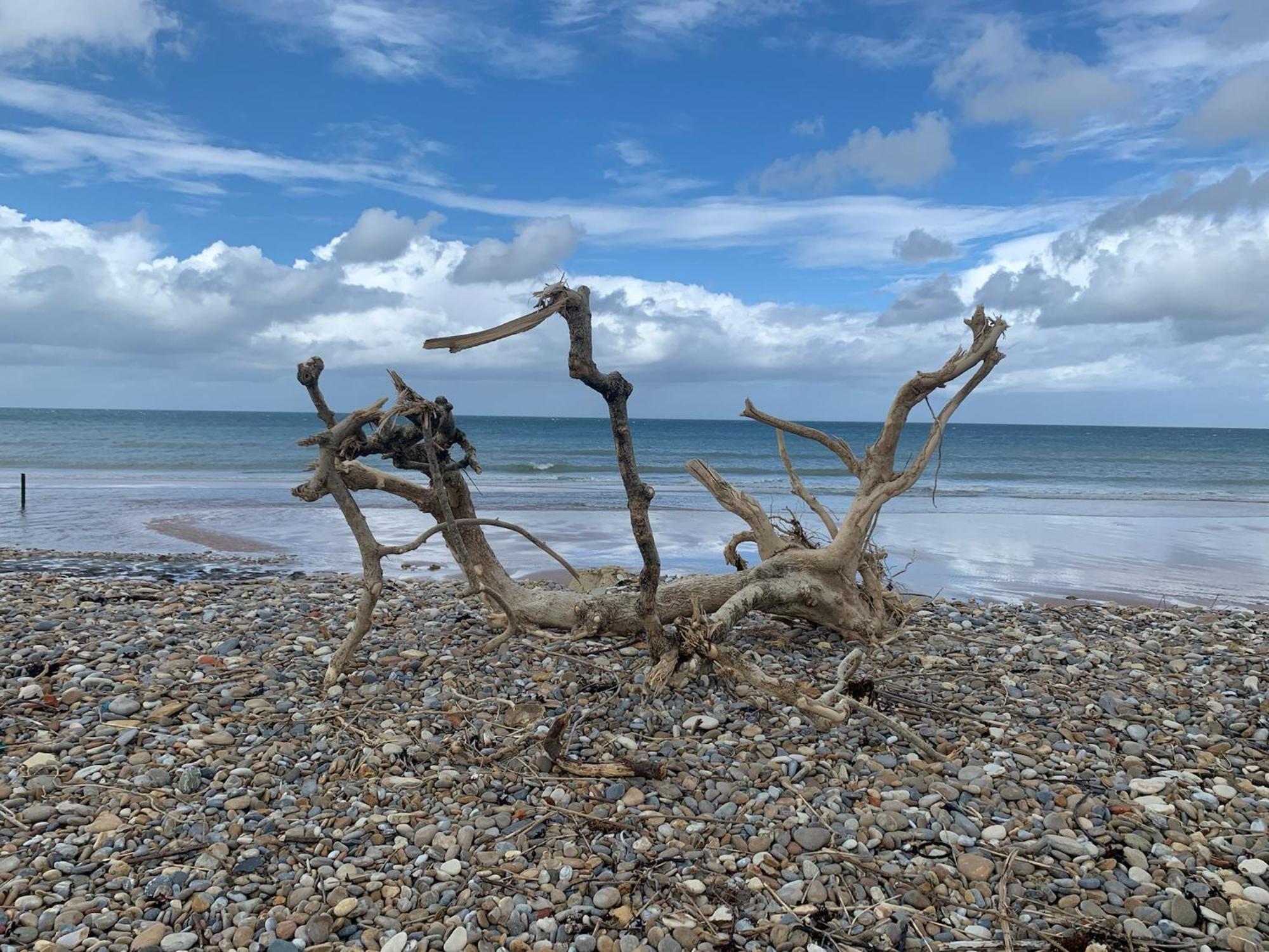 Hotel La Sapinière Saint-Laurent-sur-Mer Esterno foto